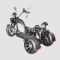 Электроскутер CityCoco SkyBoard Trike BR40-2000 PRO